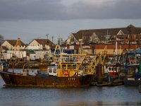 IMG 1530